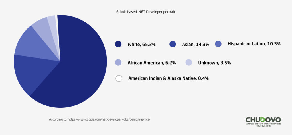 Ethnic-based .NET developer portrait