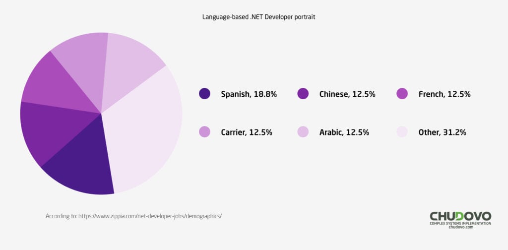 Language-based .NET developer portrait