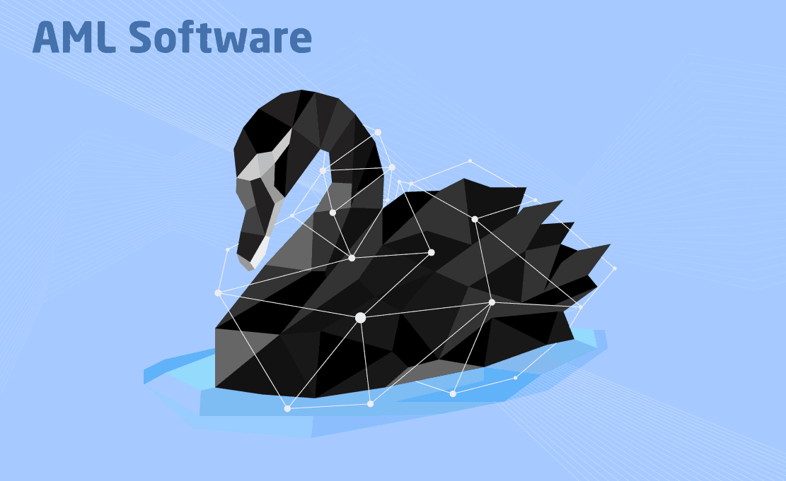 AML Software Development and Maintenance