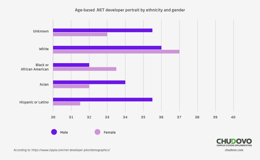 Age-based .NET developer portrait