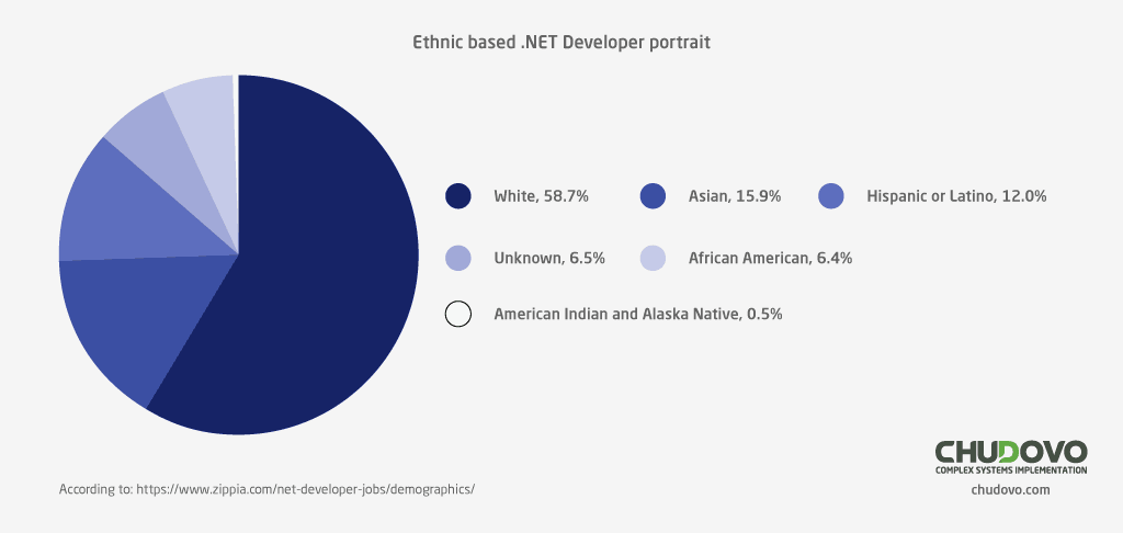 Ethnic-based .NET developer Portrait