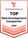 Top Web Development Company